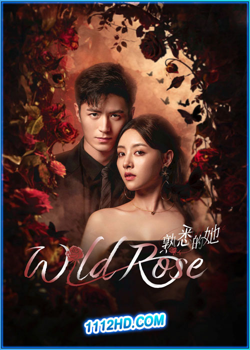 ดูซีรี่ย์ ทวงแค้นได้รัก Wild Rose (2025) ซับไทย EP.1-24 (จบ)